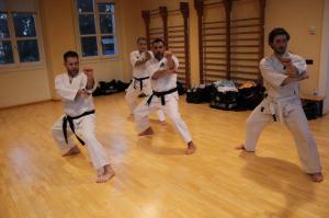 Corso istruttori kick  boxing e krav maga 10